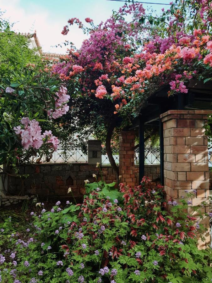 شقة Veneto'S Garden كارداميلي المظهر الخارجي الصورة